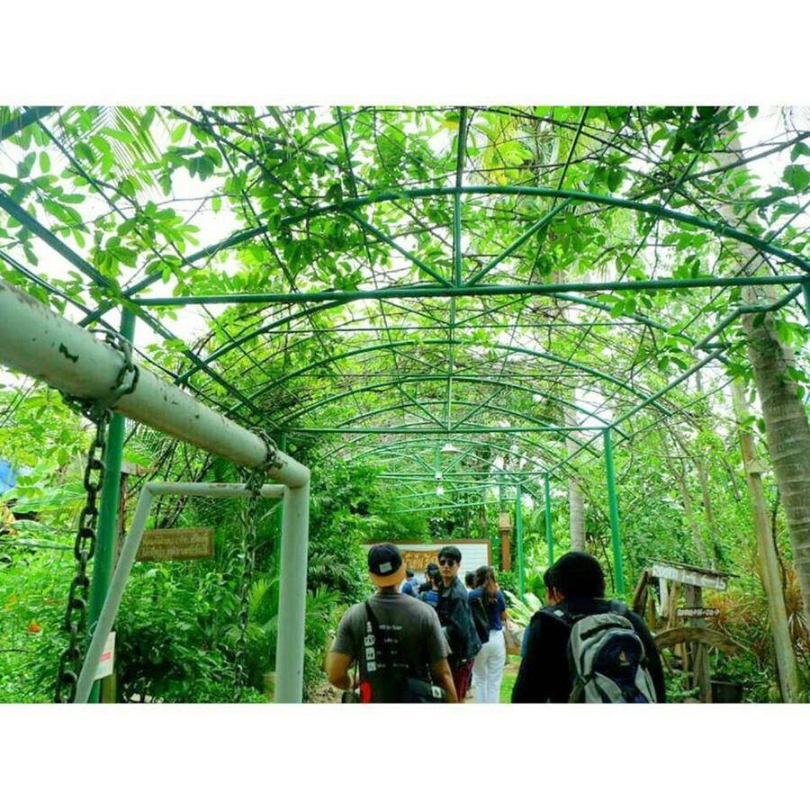 Ruennamyen Resort Amphawa Samut Songkhram Buitenkant foto